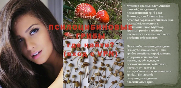 амф Краснотурьинск
