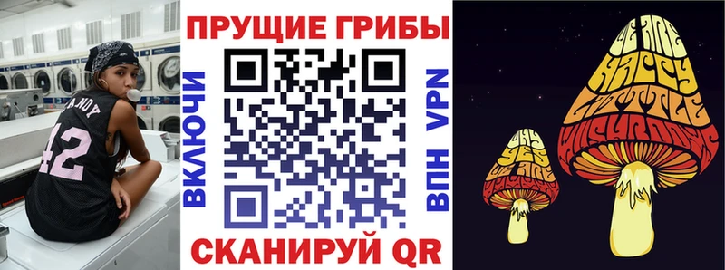 Псилоцибиновые грибы GOLDEN TEACHER  Нарьян-Мар 