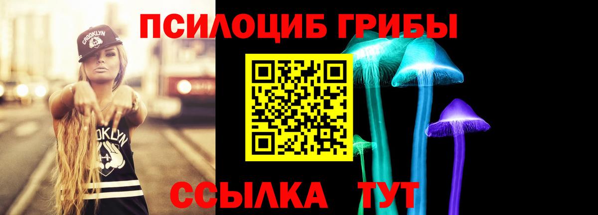 Галлюциногенные грибы прущие грибы Нарьян-Мар